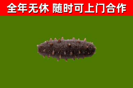 建邺区烟酒回收干海参.jpg
